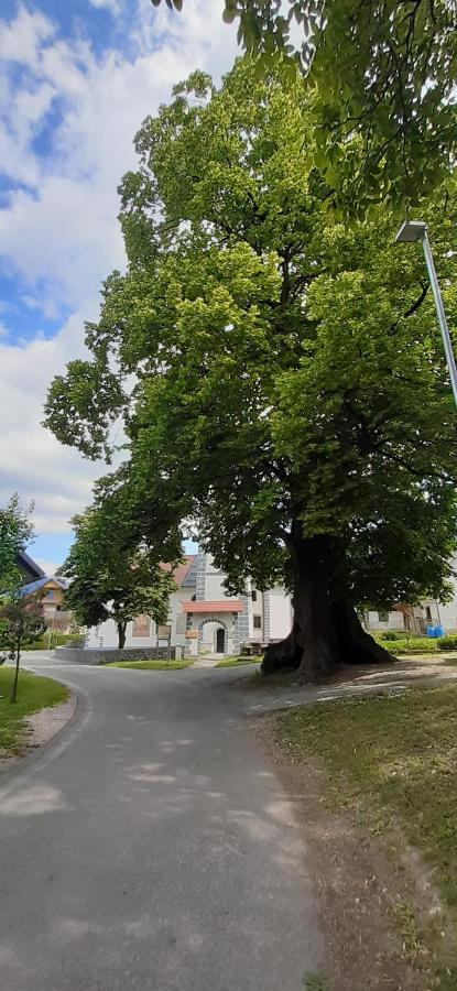 Gasthaus Apartmaji Mojca Križe Exterior foto